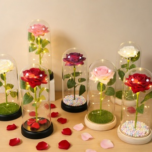 Regalo Romantico per San Valentino, Rosa Preservata Personalizzata con Luce LED in Cupola di Vetro Trasparente, Luce Notturna Eterna Elegante Fatta a Mano, Decorazione per la Casa - Product Image 2