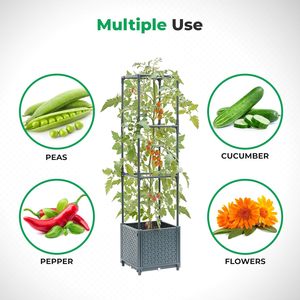 Raised Garden Bed with Tomato <strong>Planter</strong> Cage, <strong>Trellis</strong> <strong>Planter</strong> <strong>Boxes</strong> for Outdoor Patio Greenhouse Gardening Climbing Vegetables - Product Image 2