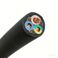 Câble d'alimentation flexible isolé EPR professionnel YZ 450/750V, fil de cuivre multiconducteur, IP44, résistant à l'huile, pour chantiers de construction