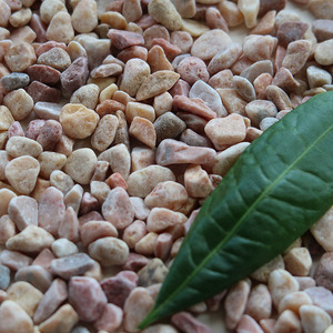 Grava Amarilla Redondeada Decorativa en Oferta, Grava Natural Lisa para Jardín, Camino, Patio, Piscina, Paisajismo - Product Image 3