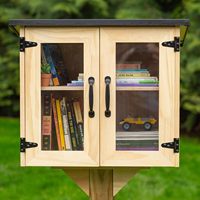 Boîte à livres de bibliothèque extérieure - Kit d'échange de littérature gratuit pour l'extérieur - Petit meuble en bois