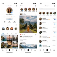 Service de développement d'applications de réseaux sociaux de premier ordre avec conception personnalisée disponible à la vente