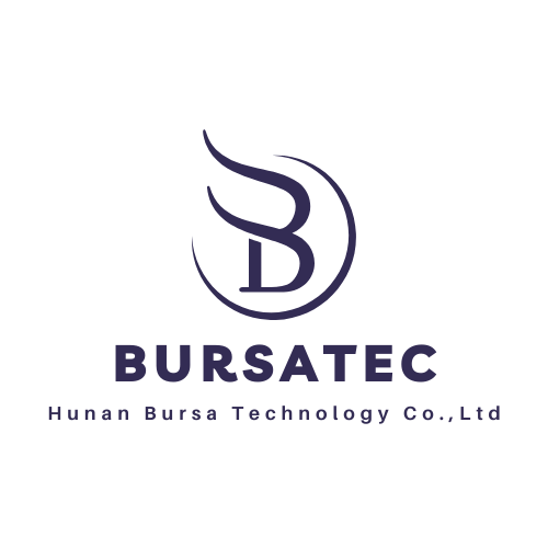 Hunan Bursa Technology Co., Ltd. logo