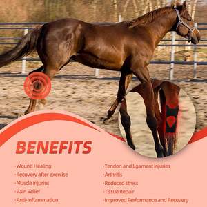 Thérapie par lumière rouge LED pour le genou du cheval, enveloppe de thérapie infrarouge portable et utilisable, 660nm/850nm, récupération des articulations et des muscles équins, 1,3 lb - Product Image 6
