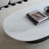Ensemble de table basse moderne de luxe pour salon, design actuel, structure en acier carbone, table ronde en marbre, table basse écologique