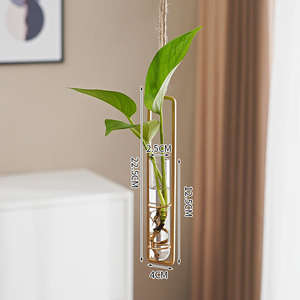 Vase décoratif hydroponique en verre borosilicate, style nordique <span class=keywords><strong>de</strong></span> luxe, écologique, pour mariage, maison, <span class=keywords><strong>pot</strong></span> suspendu mural pour Pothos - Product Image 5