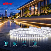 Bande LED double face de haute qualité 15x8mm, étanche IP68, 110V 220V, flexible, pour projets de construction