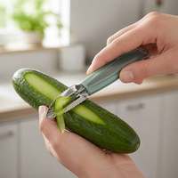 3CR13 RVS groenteschiller met PP handvat, multifunctioneel fruit- en aardappelschilmes voor gebruik in de keuken