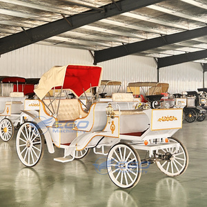 Chariot de mariage électrique à chevaux, calèche de tourisme européenne à chevaux, chariot de balnéo à chevaux - Product Image 1