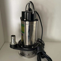 Mini pompe de puits électrique Submersible chinoise de 1 pouce, pompe à eau Submersible pour étang