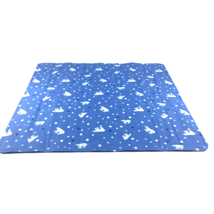 หมีขั้วโลก