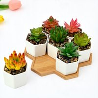 Set Pot Tanaman Sukulen Porselen Putih Gaya Nordik Desain Geometris Kreatif Wadah Tanaman Mini Heksagonal
