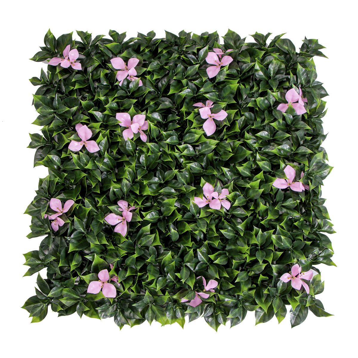 P201-3&nbsp;:&nbsp;la puce de la médaille