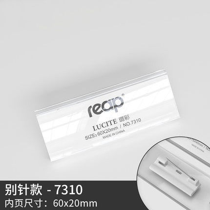 Boucle ardillon 7310, 60 x 20 mm