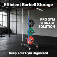 VIGFIT Support vertical professionnel haute capacité pour plaques de musculation, organisateur mobile de barres d'haltères, sûr, durable et écologique