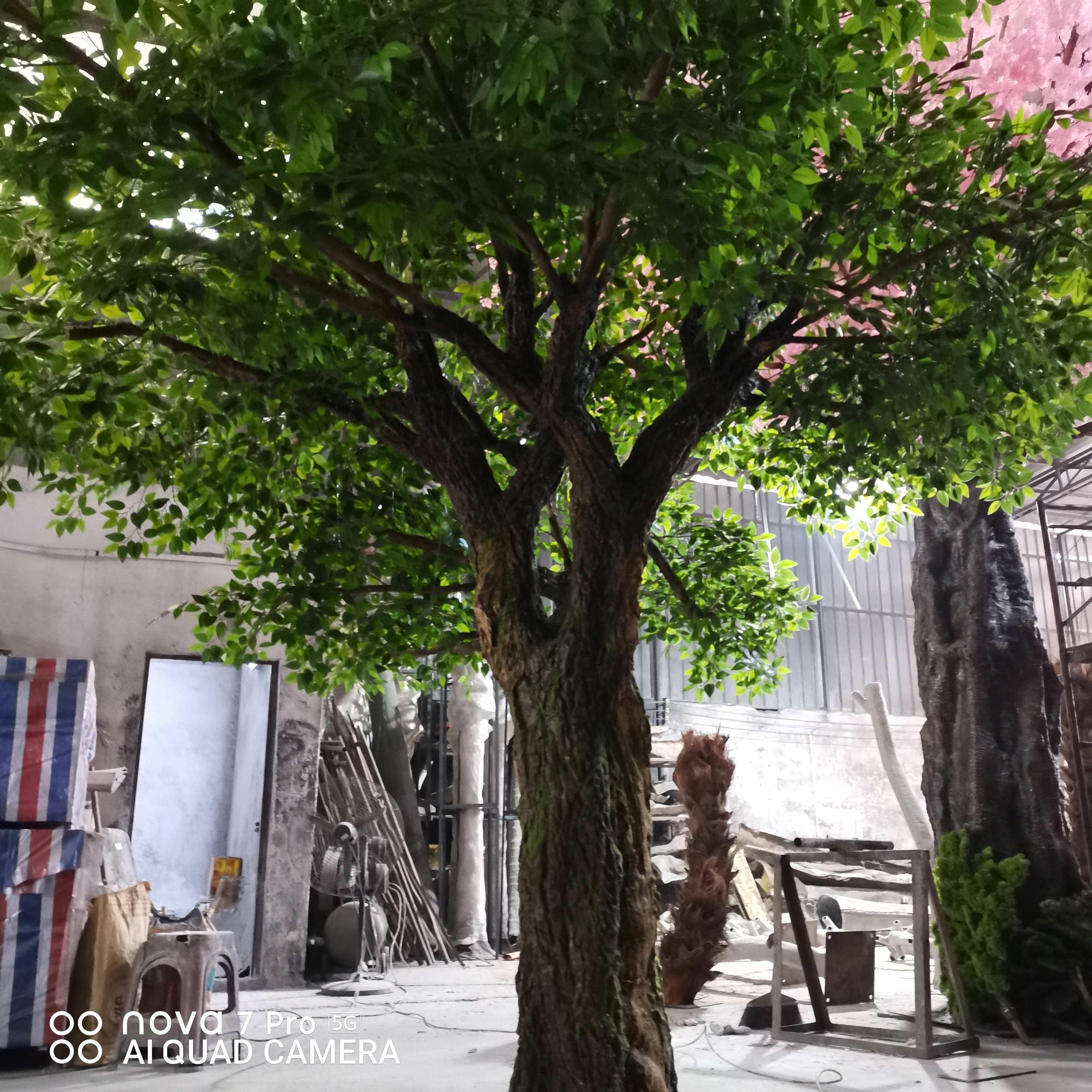 Green 04