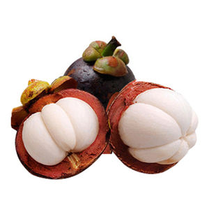 Poudre de mangoustan de qualité supérieure, pure, naturelle, de qualité alimentaire, extrait de mangoustan, poudre entièrement soluble dans l'eau - Product Image 3