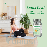 Vente directe usine de comprimés de feuille de lotus, compléments alimentaires à base de plantes, extraits végétaux, poudre de jus de prune à la cellulose, comprimés de feuille de lotus