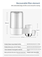Robinet de cuisine domestique à charbon actif purificateur d'eau filtre en céramique nettoyable robinet à noyau meilleur filtre à eau robinet d'évier