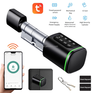 Aplikasi Tuya kata sandi <span class=keywords><strong>Digital</strong></span> kartu Mechanicak kunci cerdas kunci silinder pintar untuk kamar tidur pintu depan - Product Image 6