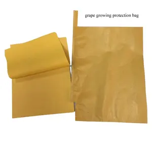 Grape Growing Protection Paper Bag Waterproof Micro Perforated