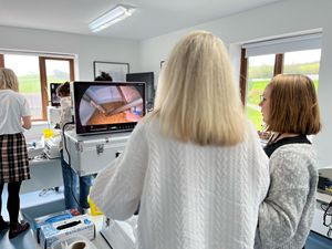 <span class=keywords><strong>Ikeda</strong></span> YKD-9122 tất cả-trong-một xách tay y tế nội soi Hệ thống camera với 22 inch FHD màn hình cho Ent nội soi - Product Image 5