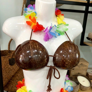 Proveedor de Vietnam de sujetador de coco Hawaiano para ropa interior de apoyo/Sujetador de coco Hawaiano con cordón Shell Bikini Top para adultos - Product Image 1