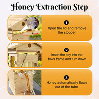 Ruches d'abeilles Débit de miel Débit automatique Ruche d'abeille Automatique Conteneurs d'élevage d'insectes pratiques Débit Ruche d'abeilles Boîte à miel automatique