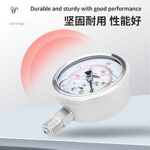 YN60BF personalizado, relleno de aceite de silicona, resistente a la corrosión, resistente a altas y bajas temperaturas, rosca imperial - Product Image 3