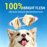 Friandises pour chiens et chats 100% naturelles, lyophilisées, saines, pour l'entraînement, OEM, vente en gros, en vrac
