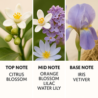 Huile de parfum Leuxscent 100% pure de qualité A+ liquide pour hommes et femmes à base de plantes françaises