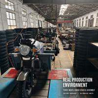 Tricycle à essence robuste à trois roues pour le transport de marchandises, capacité de charge de 700 kg, capacité de montée de 25 degrés, pour la livraison en zone rurale