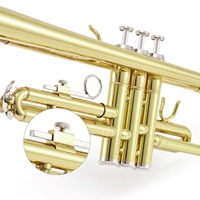 Bb Flat Trumpet Brass Instrument, Lacquer Gold & Silver Finish Beginner Trumpet with Complete Accessories