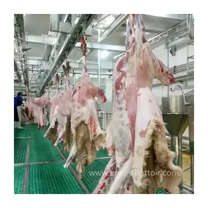 High Quality Butcher Equipment Sheep Dehiding Machine Goat/Sheep Slaughterhouse Equipment For Goat Slaughterhouse Design