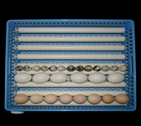 Plateau à œufs de haute qualité pour 99 œufs avec panier bleu, pièce de rechange pour l'incubation avicole