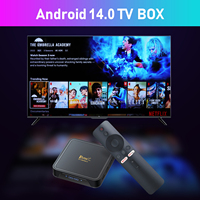 Le plus récent projet 2025 TV98 PRO Box avec Allwinner H313 Quad Core ARM A53 802.11 B/g/n 2.4G.+ 5G WIFI + BT 5.2 8GB ROM Display Home