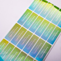 Étiquettes holographiques de sécurité 3D en papier synthétique imperméable personnalisées anti-contrefaçon pour l'emballage des appareils photo