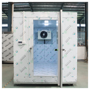 Contenedor Refrigerado Móvil de 3x3m y 40 pies, Cámara Frigorífica de 20 pies para Fabricación - Product Image 6