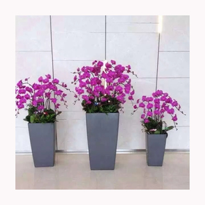 Vaso per Piante Moderno Leizisure con Finitura Lucida, Quadrato, Piccole Dimensioni, per Ufficio, Soggiorno, Scrivania, Cucina e Giardino - Product Image 1