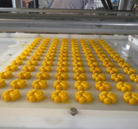 Qdmech Bakery Industry Professional Sugar Cube Make Briquetting Pastry Forming Machine Green Bean Cake Machine