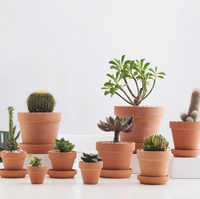 Pot de fleurs en terre cuite léger et écologique, classique, pour l'intérieur et l'extérieur, pour plantes succulentes, cactus, vert
