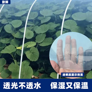 Greenhouse Plastic Film 0.08mm Transparent Drip Free High Transparency Agricultural Use - Product Image 3