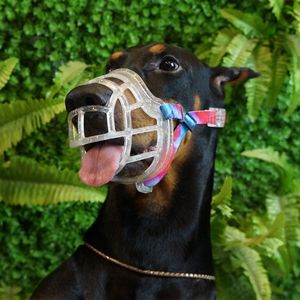 Mõm Đầy Màu Sắc Cho Chó Giỏ Mõm Chó Bằng Silicon Thiết Bị Chống Cắn Nhai Sủa - Product Image 2