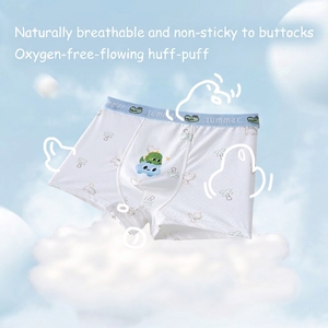 For Teen Boys in Puberty Ice Silk <strong>Boxer</strong> Shorts Breathable Antibacterial Elastic Underwear <strong>Junior</strong> High Senior Students - Product Image 4
