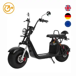 Venta al por mayor City Coco COC EEC Certificado Eléctrico Fat Tire No Plegable Scooters 2000W Largo Alcance E Bike Holanda Almacén