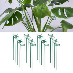 Protective Design For <b>Plants</b> Iron <b>Support</b> Rods Climbing <b>Frame</b> 20 Piece Set Enhanced <b>Plant</b> Stability Long-Lasting Performance - Product Image 2