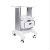 Lit de massage multifonctionnel à quatre roues moderne et élégant, armoire assortie, chariot de beauté, chariot mobile