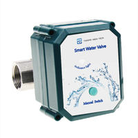 Robinet WiFi Tuya en acier inoxydable SS304 à arrêt automatique DN20 (3/4 pouce) avec capteur de fuite d'eau et 2 capteurs d'eau WiFi Tuya