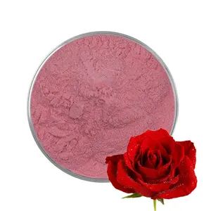 Großhandel natürliche Bio-Lebensmittel qualität Multi Petal Rose Juice Powder Rose Powder