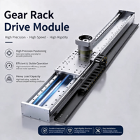 Module d'entraînement à crémaillère haute précision pour charges lourdes, longueur de course réglable, pour robot cartésien / CNC / portique / automatisation